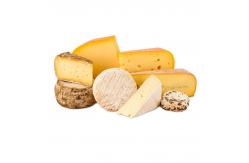 China SUS 316L Cheese Making Equipment For Automatic Food Processing supplier