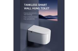 China Modern Smart Toilet With Toilet Lighting for Your Control Smart Home supplier