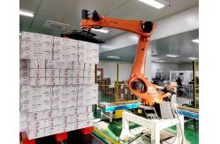China 0.06mm Repeatability 5-Axis Industrial Robot Cell for High Precision Applications supplier