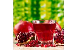 China Automatic Slag Removal Pomegranate Juice Machine Aseptic Bag Packaging 2 - 50T/H supplier