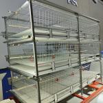 HDG 4 Tier Poultry Farming Equipment For Broilers Products 200birds/Cage for sale