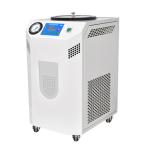 Laboratory Circulating 700W 4L Water Cooling Chiller for sale