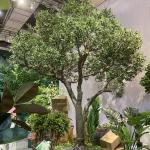 Custom Fiberglass Olive Artificial Landscape Trees Garden Decoration