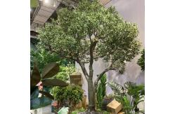 China Custom Fiberglass Olive Artificial Landscape Trees Garden Decoration supplier