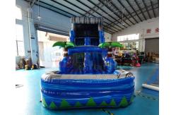 China Playground Jumping Bouncer Inflatable Water Slide With Pool supplier