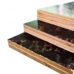 12mm Poplar Phenolic Faced Plywood For Building Construction for sale