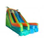 Silk Printing Commercial Inflatable Dry Slide Outdoor Jumping Bouncer Slide for sale