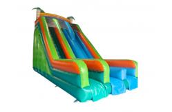 China Silk Printing Commercial Inflatable Dry Slide Outdoor Jumping Bouncer Slide supplier