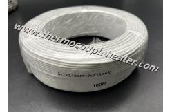 China RTD PT100 Extension Cable PTFE Insulated With Al Foil Shield And Drain Wire supplier