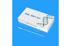 China DNA Buccal Swab Kit Rapid Detection Kit At Home Paternity Test supplier