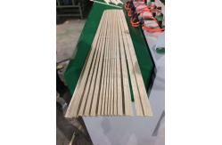 China Thinner panel cutting multiple circular balde wood ripsaw saw machine supplier