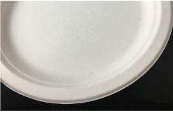 China 6 Inch Bagasse Disposable Dinner Plate for party Compostable Plate supplier