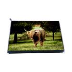 VVX10F002A90 10.1 inch 1000: 1 LCD Screen Display Panel for sale