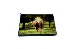 China VVX10F002A90 10.1 inch 1000: 1 LCD Screen Display Panel supplier