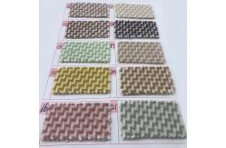 China Chenille Woven Feather Brushed Polyester Wool Coating Fabric 850gsm supplier