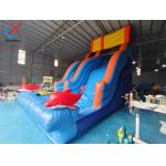 OEM/ODM Commercial Inflatable Slide Inflatable Dry Slides Outdoor