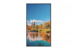 China 43inch High-Brightness 2500nits Window Facing Display with IPS Panel supplier