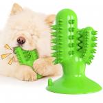 Cactus Dog Teeth Cleaning Chew Toy Squeaky Rubber Relieve Anxiety TPR OEM for sale