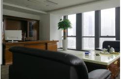 china Neodymium Permanent Magnets exporter