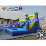 Popular Inflatable Wet Slide For Rental Business / Party Inflatable Slide Rentals