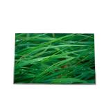 B141EW03 V2 14.1 inch 1280*800 LCD Display TFT-LCD SCREEN for sale