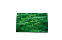 China B141EW03 V2 14.1 inch 1280*800 LCD Display TFT-LCD SCREEN supplier