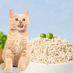 Tofu Toilet Flushable Cat Litter Dust Free Kitty Litter Customized for sale
