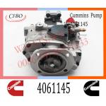 Diesel Engine Parts Fuel Injection Pump 4061145 4061206 4061228  For Cummins NTA855