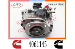 China Diesel Engine Parts Fuel Injection Pump 4061145 4061206 4061228  For Cummins NTA855 supplier