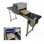 No Need Maintenance Eggs Code Printing Machine Security For Green Food Logo for sale