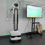 Wireless Control Disinfection And Sterilization Virus Killing Robot for sale