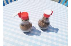 China Enhance Your Cooking Experience 100ml Glass Spice Jar With PP Lid With Condiment supplier