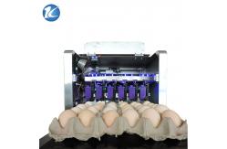 China Professional Egg Stamping Machine Laser Batch Coding Machine 600dpi Resolution supplier