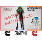Fuel Injector Assembly 0986435904 0986435901 F00BJ00006 FOOBJ00007 0986435903 For Qsk19 Engine