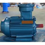 2 Poles 4 Poles Neodymium Electric Motor / SPMSM Motor For Mixing Tank for sale