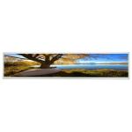 DV165FBM-N10 16.5 inch 1280(RGB)×631 LCD screen display for BOE for sale
