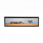 VETO 23.1 24 29 Inch Stretched Bar Digital Signage Ultra Thin Advertising Screen For Bus Station for sale