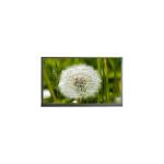 High Quality 2560*1600 13.3 inch N133GCA-GQ1 16.7M LCD Screen for sale