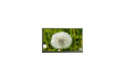 China High Quality 2560*1600 13.3 inch N133GCA-GQ1 16.7M LCD Screen supplier