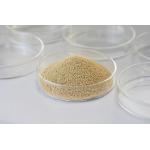 High Reusability Immobilized Lipase Granule 4,000U/G for sale