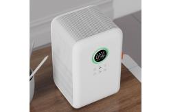 China 8W Air Purifier And Humidifier Together For Room Office Desktop supplier
