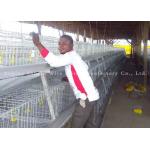Galvanized Battery 3/4 Layers Poultry Chicken Cages 96/128 Birds for sale