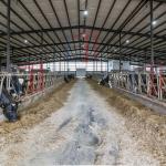 Corrosion Resistant Prefabricated Steel Shed Construction , Steel Farm Equipment Storage Shed for sale