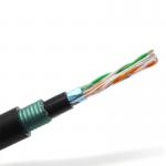 Bare Copper Network CMX Armored CAT6 Ethernet Cable FTP Shielding Type for sale
