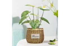 China Philodendron Birkin Decoration Artificial Bonsai Tree For Landscaping supplier