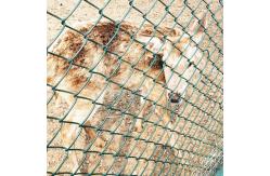 China PVC Coated Hot Dipped Galvanized Chain Link Fence 1mx30m Roll supplier