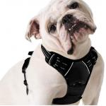 Nylon Reflective Pet Harness Leash For Large Dogs With Pull Handle