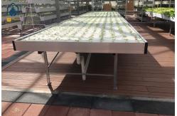 China Movable Ebb And Flow Rolling Benches 4x4 4x8 Greenhouse Hydroponic Flood Tables supplier