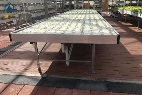 Movable Ebb And Flow Rolling Benches 4x4 4x8 Greenhouse Hydroponic Flood Tables