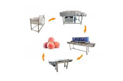 China Hot selling Manual Food Cleaner Vegetable Washer With Best Prices by Huafood supplier